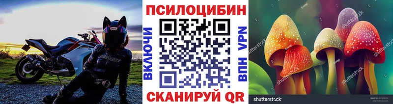 Псилоцибиновые грибы Cubensis Покачи